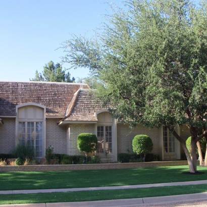 Artificial Grass Goodsprings Nevada Landscape