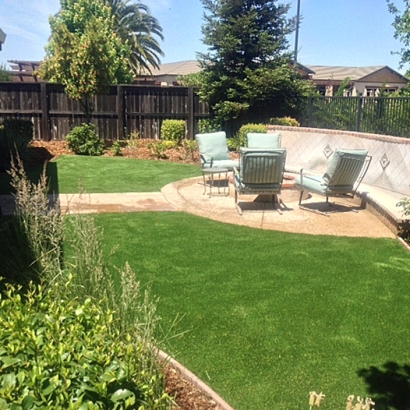 Artificial Grass Goodsprings Nevada Landscape