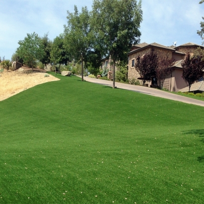 Artificial Grass Goodsprings Nevada Lawn