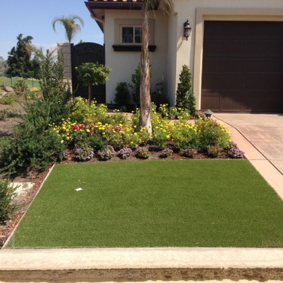 Artificial Grass Henderson Nevada Landscape