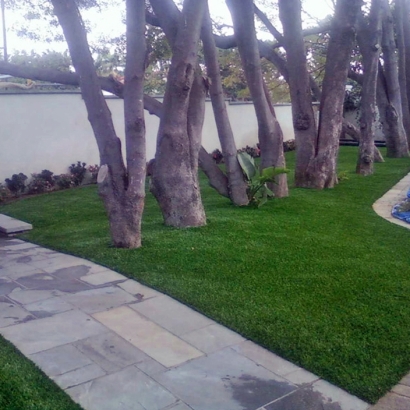 Artificial Grass Henderson Nevada Landscape