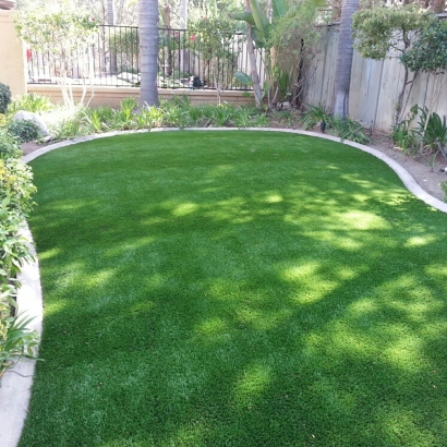 Artificial Grass Hiko, Nevada Design Ideas