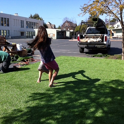 Artificial Grass Indian Springs Nevada Lawn