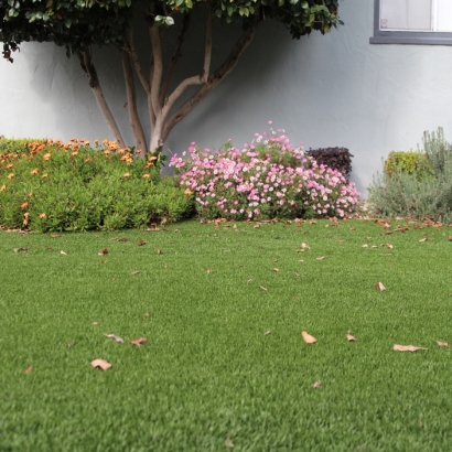 Artificial Grass Indian Springs Nevada Lawn