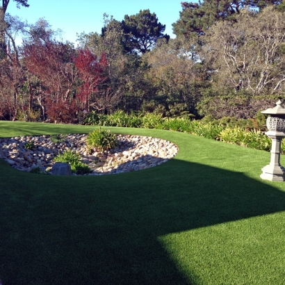 Artificial Grass Indian Springs Nevada Landscape