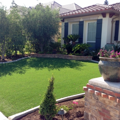 Artificial Grass Moapa Valley Nevada Lawn
