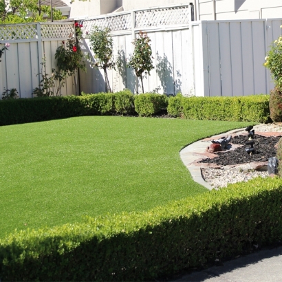 Artificial Grass Moapa Valley Nevada Lawn