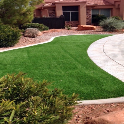 Artificial Grass Mount Charleston Nevada Lawn
