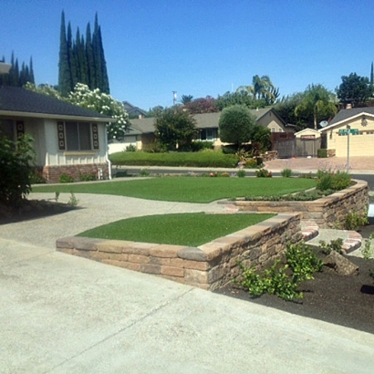 Artificial Grass Mount Charleston Nevada Landscape