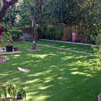 Artificial Grass Nellis Air Force Base Nevada Lawn