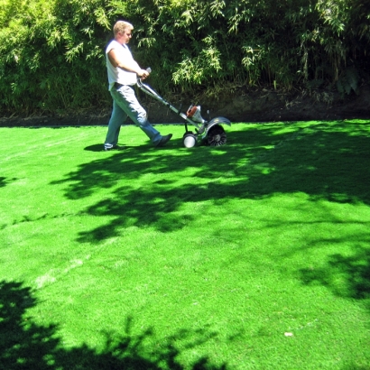 Artificial Grass Nellis Air Force Base Nevada Lawn