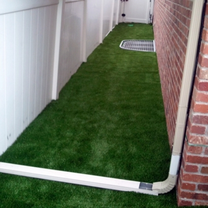 Artificial Grass Nellis Air Force Base Nevada Lawn