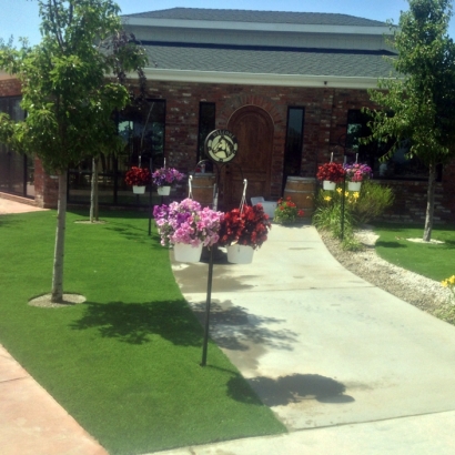 Artificial Grass Nelson Nevada Landscape