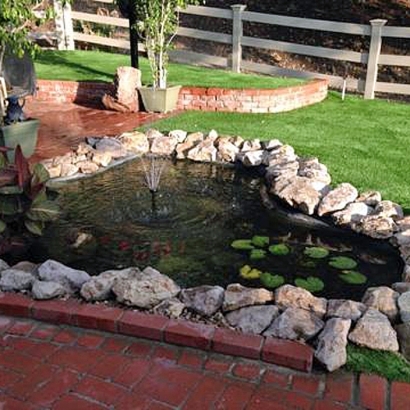 Artificial Grass Nelson Nevada Landscape