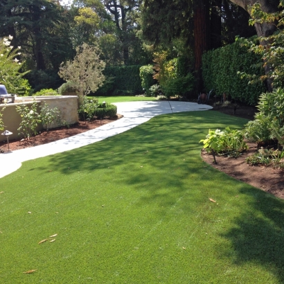 Artificial Grass North Las Vegas Nevada Landscape