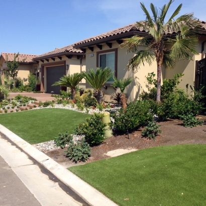 Artificial Grass North Las Vegas Nevada Landscape