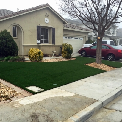 Artificial Grass Paradise Nevada Landscape