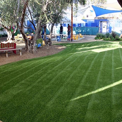 Artificial Grass Paradise Nevada Lawn