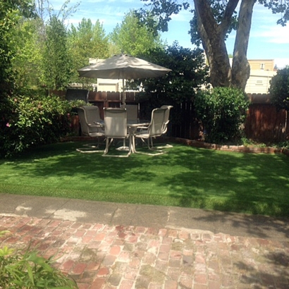 Artificial Grass Paradise Nevada Lawn