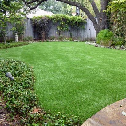 Artificial Grass Searchlight Nevada Landscape