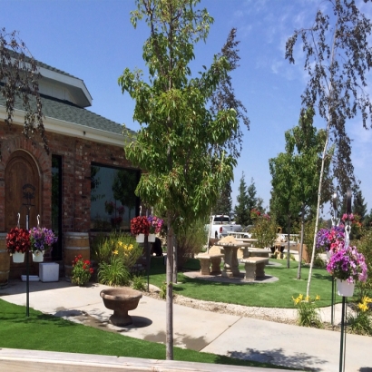 Artificial Grass Searchlight Nevada Lawn