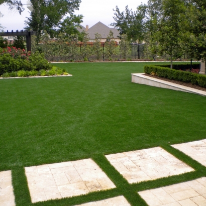 Artificial Grass Spring Valley Nevada Landscape