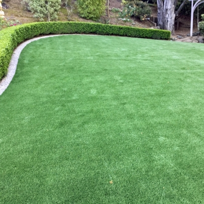 Artificial Grass Spring Valley Nevada Landscape