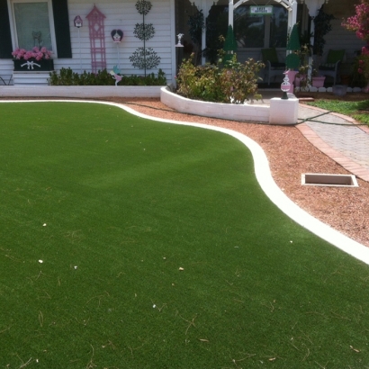 Artificial Grass Sunrise Manor Nevada Landscape