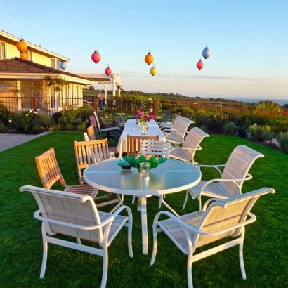 Artificial Grass Sunrise Manor Nevada Landscape