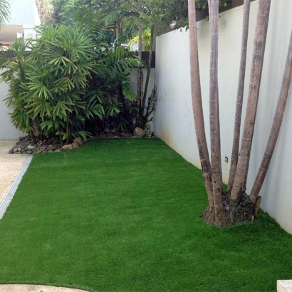 Artificial Grass Sunrise Manor Nevada Landscape
