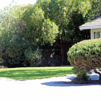 Artificial Grass Whitney Nevada Landscape