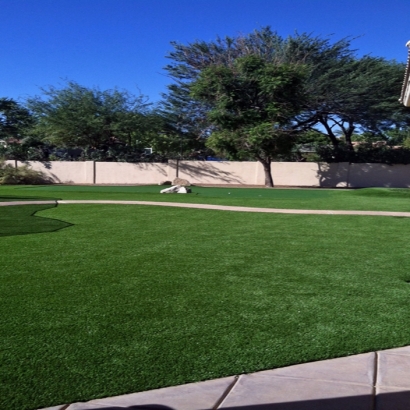 Artificial Grass Whitney Nevada Lawn