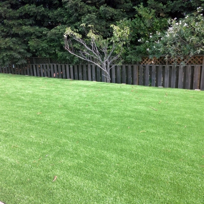 Artificial Grass Winchester Nevada Lawn