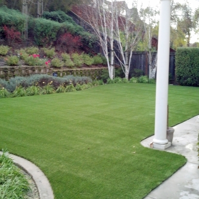 Artificial Pet Grass Goodsprings Nevada for Dogs