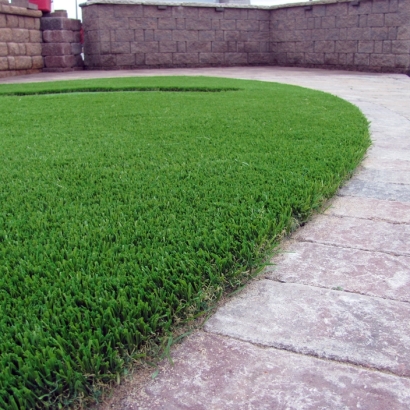 Artificial Pet Turf Whitney Nevada for Dogs