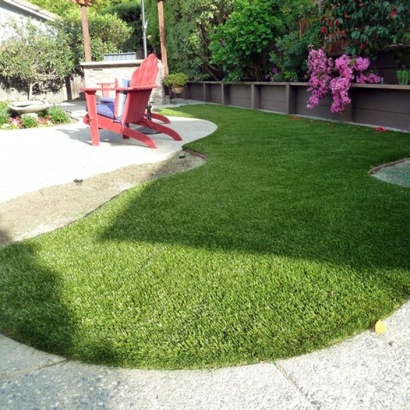 Artificial Pet Turf Whitney Nevada for Dogs