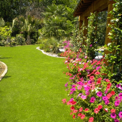 Artificial Turf Boulder City Nevada Landscape