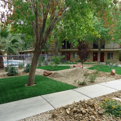 Artificial Turf Enterprise Nevada Landscape