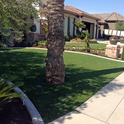 Artificial Turf Enterprise Nevada Lawn