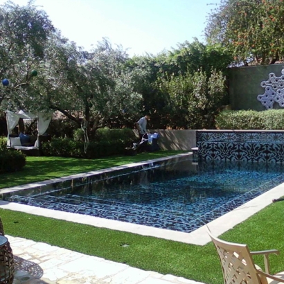 Artificial Turf Goodsprings Nevada Landscape