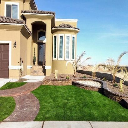 Artificial Turf Mount Charleston Nevada Landscape