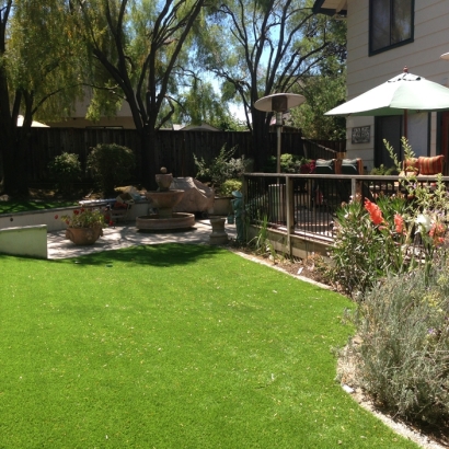 Artificial Turf Nellis Air Force Base Nevada Lawn