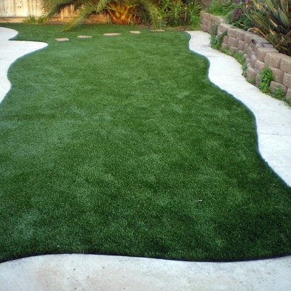 Artificial Turf Nellis Air Force Base Nevada Landscape
