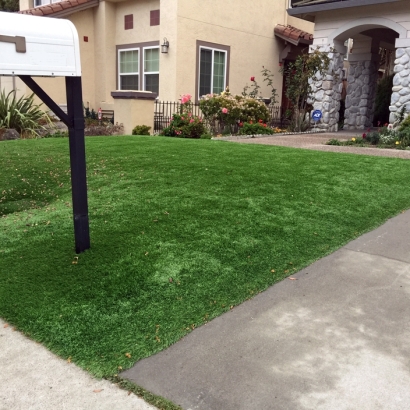 Artificial Turf Nelson Nevada Landscape