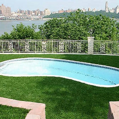 Artificial Turf North Las Vegas Nevada Landscape
