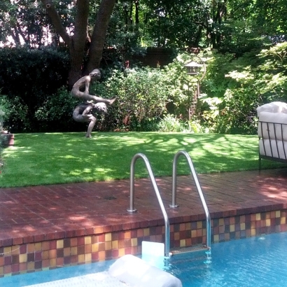 Artificial Turf North Las Vegas Nevada Lawn