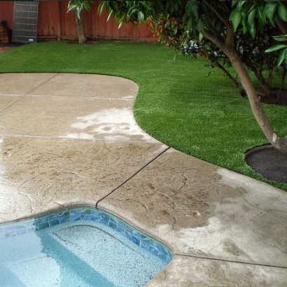 Artificial Turf Pahrump Nevada Landscape