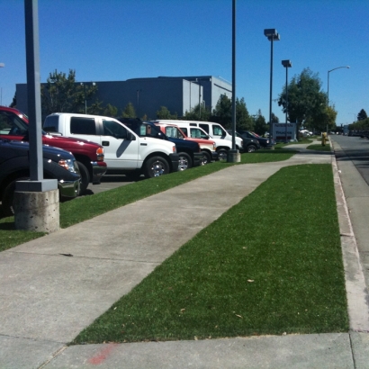 Artificial Turf Pahrump Nevada Lawn