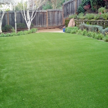 Artificial Turf Paradise Nevada Lawn