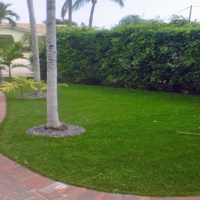 Artificial Turf Sandy Valley Nevada Lawn